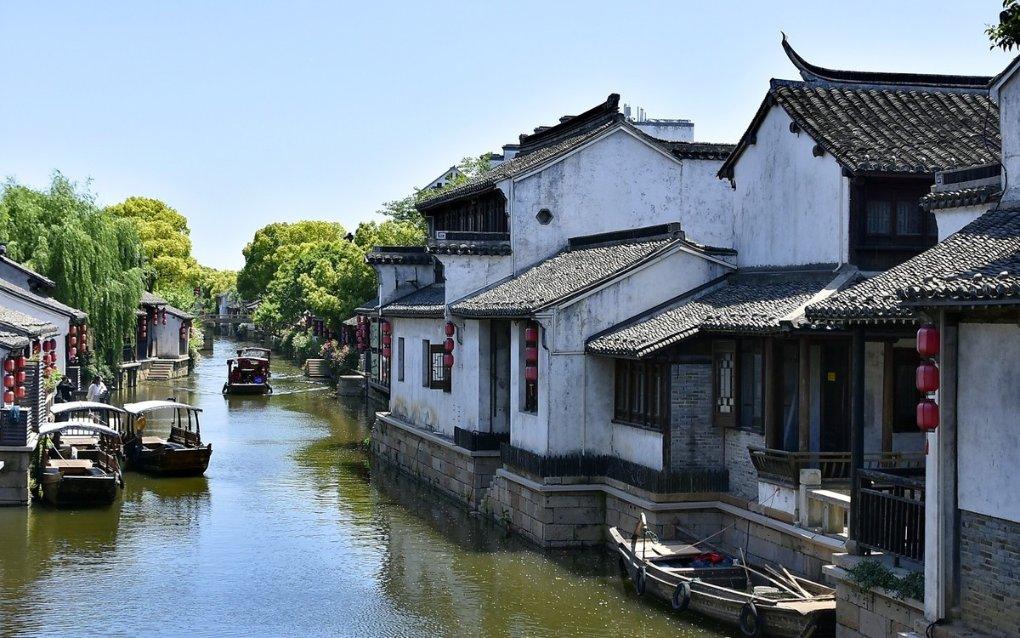 救援花卉销售员